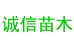 碳硫分析儀_紅外碳硫分析儀_高頻紅外碳硫儀-分析儀設備廠家